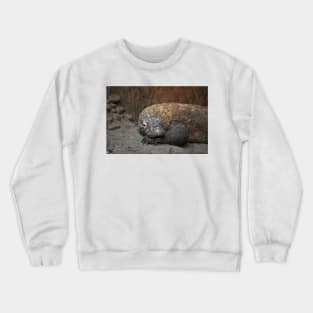 Komodo Dragon Crewneck Sweatshirt